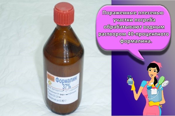 Пораженные плесенью участки погреба обрабатывают водным раствором 40-процентного формалина
