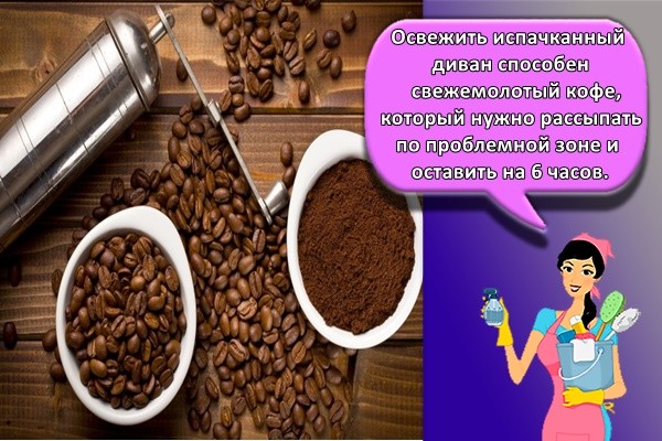 Освежить испачканный диван способен свежемолотый кофе, который нужно рассыпать по проблемной зоне и оставить на 6 часов.