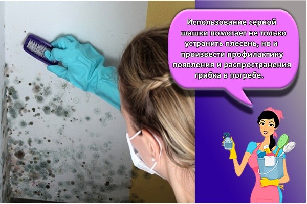 Использование серной шашки помогает не только устранить плесень, но и произвести профилактику появления и распространения грибка в погребе.