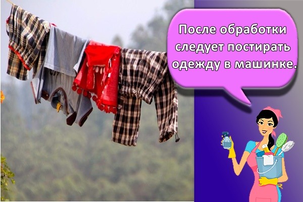 После обработки следует постирать одежду в машинке.