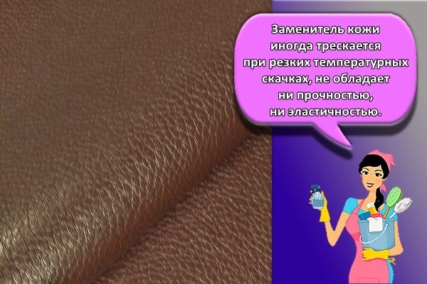 кожзаменитель действия