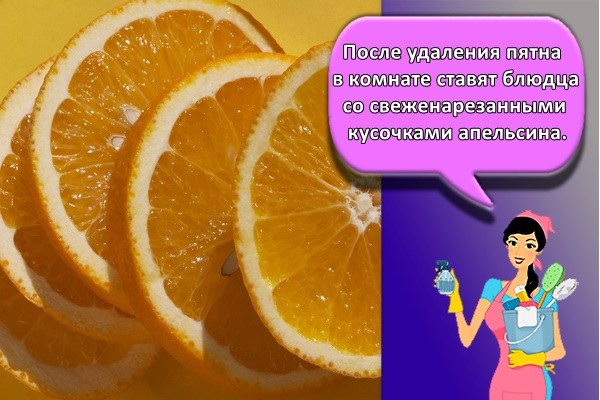 После удаления пятна в комнате ставят блюдца со свеженарезанными кусочками апельсина