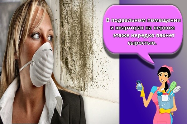 В подвальном помещении и квартирах на первом этаже нередко пахнет сыростью.