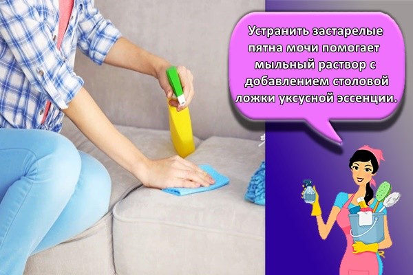 Устранить застарелые пятна мочи помогает мыльный раствор с добавлением столовой ложки уксусной эссенции.