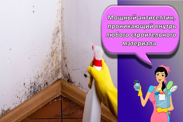Мощный антисептик, проникающий внутрь любого строительного материала