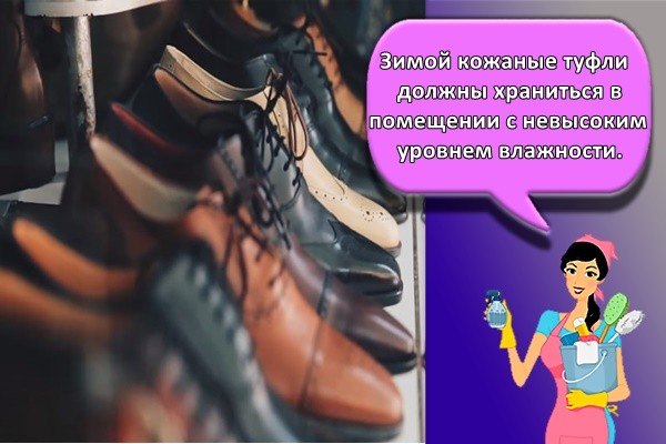 Зимой кожаные туфли должны храниться в помещении с невысоким уровнем влажности.