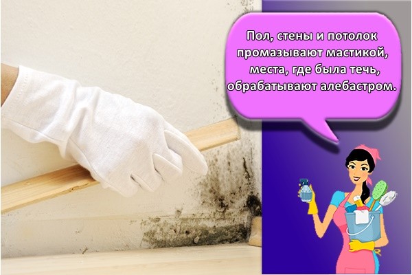 Пол, стены и потолок промазывают мастикой, места, где была течь, обрабатывают алебастром.Пол, стены и потолок промазывают мастикой, места, где была течь, обрабатывают алебастром.