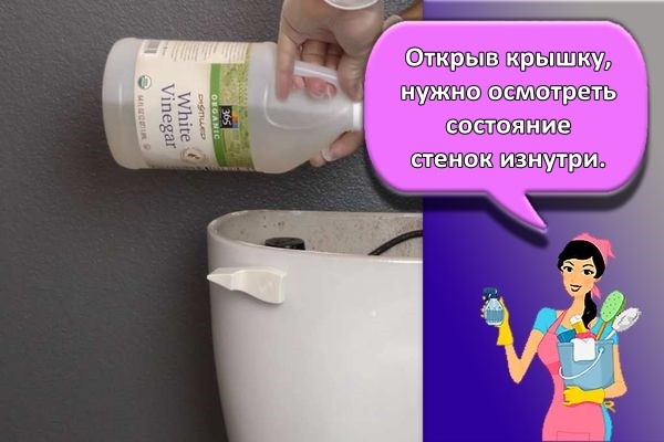 открытая крышка бачка