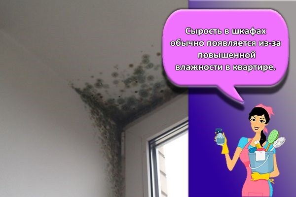 сырость на потолке