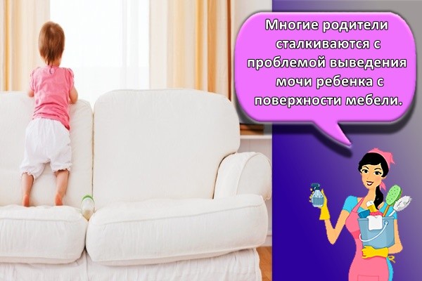 Многие родители сталкиваются с проблемой выведения мочи ребенка с поверхности мебели.