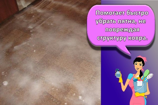Помогает быстро убрать пятна, не повреждая структуру ковра.