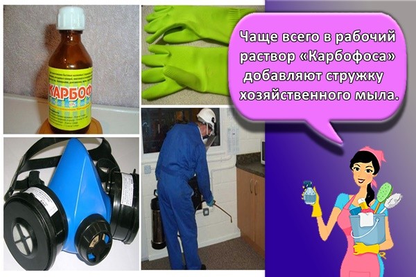 Чаще всего в рабочий раствор «Карбофоса» добавляют стружку хозяйственного мыла.