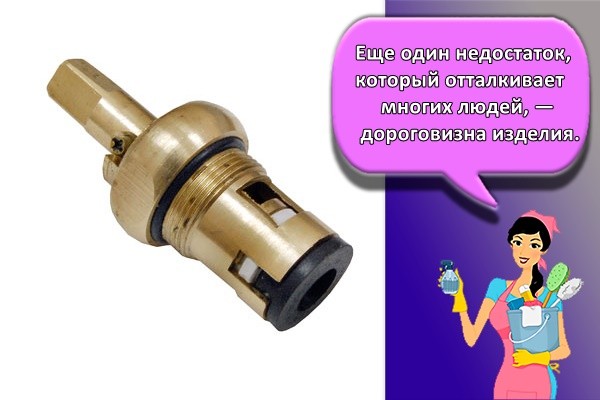 Еще один недостаток, который отталкивает многих людей, — дороговизна изделия.
