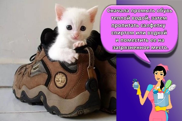 нужно сначала промыть обувь теплой водой, затем пропитать салфетку спиртом или водкой и поместить ее на загрязненное место.
