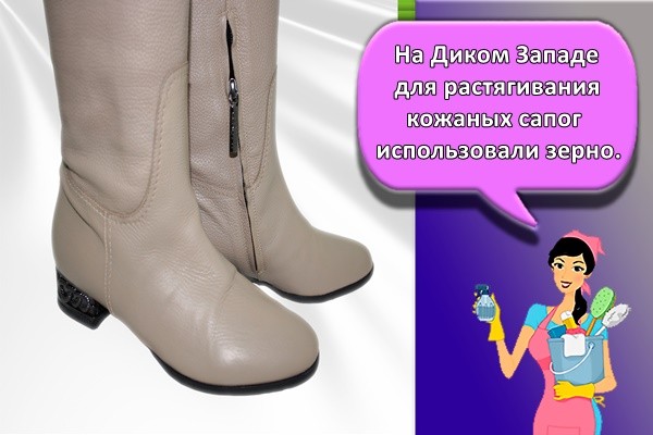 На Диком Западе для растягивания кожаных сапог использовали зерно.