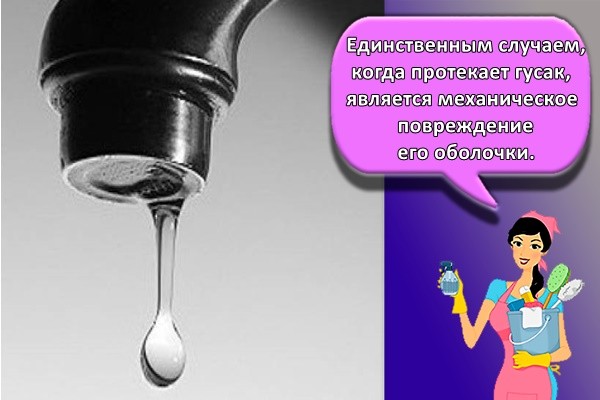 Единственным случаем, когда протекает гусак, является механическое повреждение его оболочки.