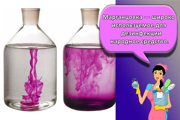 Марганцовка — широко используемое для дезинфекции народное средство.