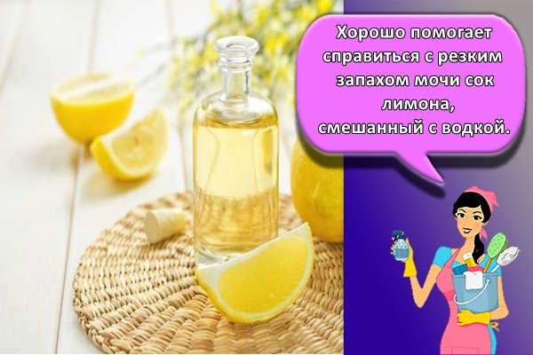 Хорошо помогает справиться с резким запахом мочи сок лимона, смешанный с водкой.