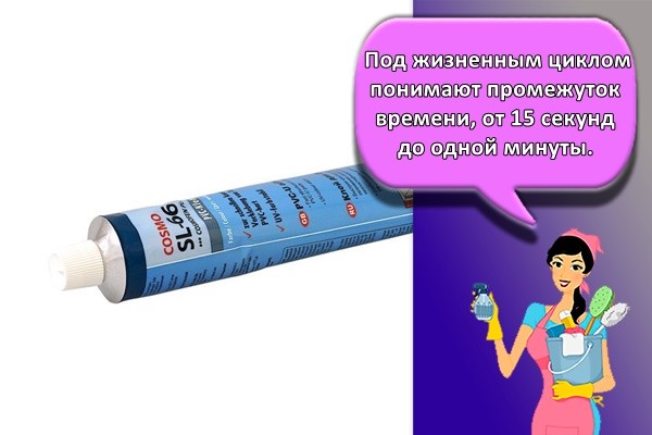 Под жизненным циклом понимают промежуток времени, от 15 секунд до одной минуты.