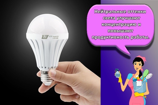Нейтральные оттенки света улучшают концентрацию и повышают продуктивность работы.