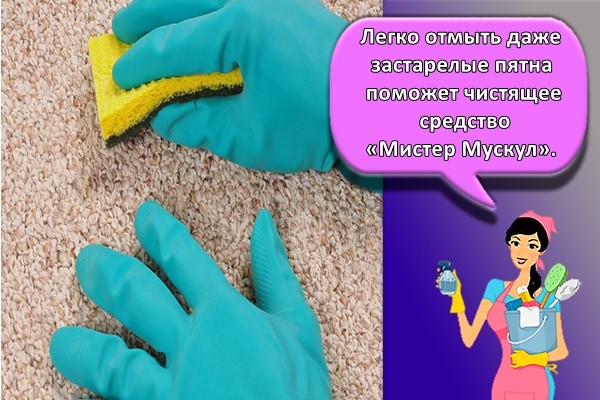 Легко отмыть даже застарелые пятна поможет чистящее средство «Мистер Мускул».