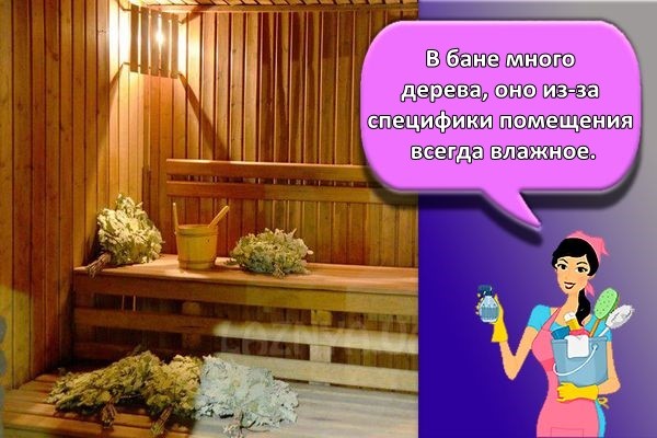 средство обитания