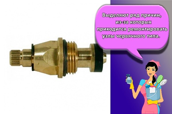 Выделяют ряд причин, из-за которых приходится ремонтировать узлы червячного типа.