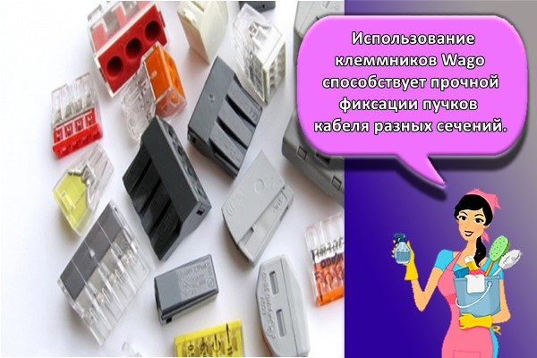 Использование клеммников Wago способствует прочной фиксации пучков кабеля разных сечений.