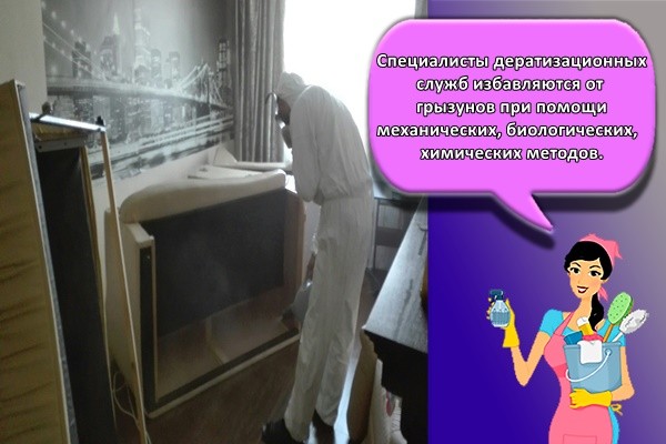 Специалисты дератизационных служб избавляются от грызунов при помощи механических, биологических, химических методов.