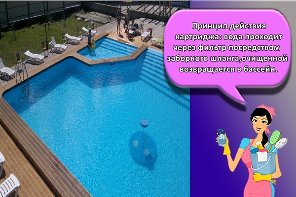 Принцип действия картриджа: вода проходит через фильтр посредством заборного шланга, очищенной возвращается в бассейн.