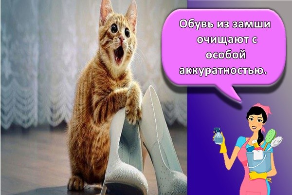 Обувь из замши очищают с особой аккуратностью.
