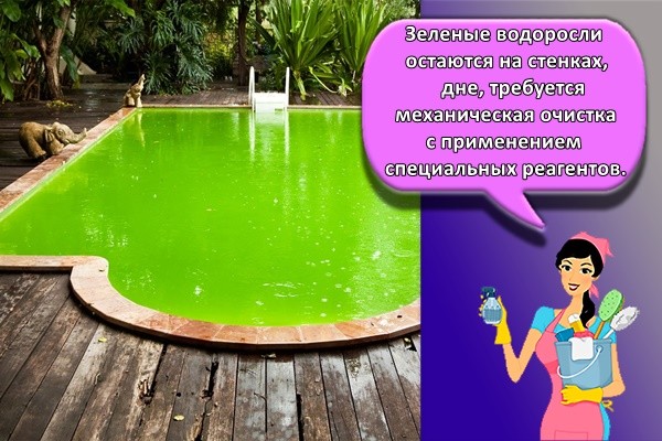 Зеленые водоросли остаются на стенках, дне, требуется механическая очистка с применением специальных реагентов.