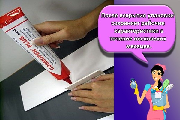 после вскрытия упаковки сохраняет рабочие характеристики в течение нескольких месяцев