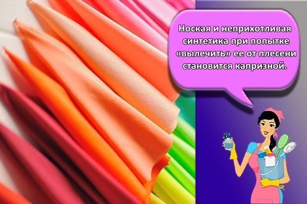 синтетика вещи