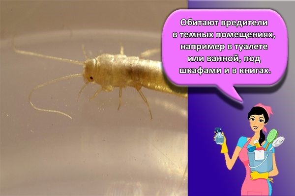 место обитания