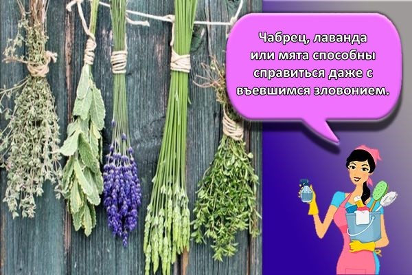 много травы