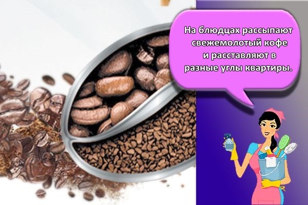 зерна кофе