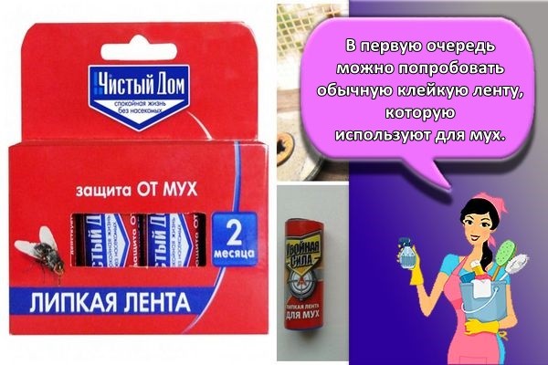 клеейкая лента