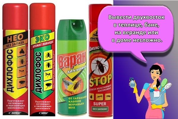 борьба с насекомыми