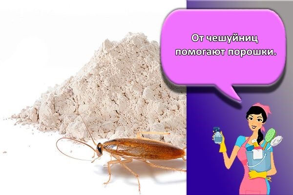 порошок от чешуйниц