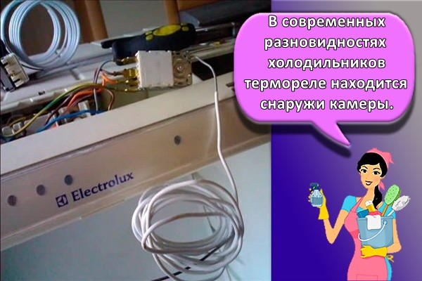 В современных разновидностях холодильников термореле находится снаружи камеры.