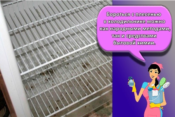 Бороться с плесенью в холодильнике можно как народными методами, так и средствами бытовой химии.