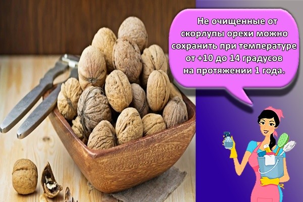 Не очищенные от скорлупы орехи можно сохранить при температуре от +10 до 14 градусов на протяжении 1 года.