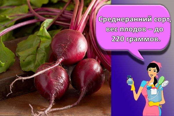 Среднеранний сорт, вес плодов – до 220 граммов.