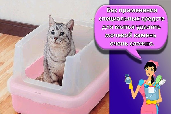 Без применения специальных средств для мытья удалить мочевой камень очень сложно