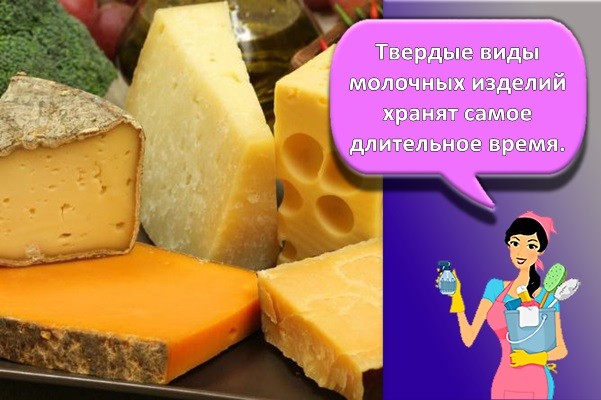 твердые сыры