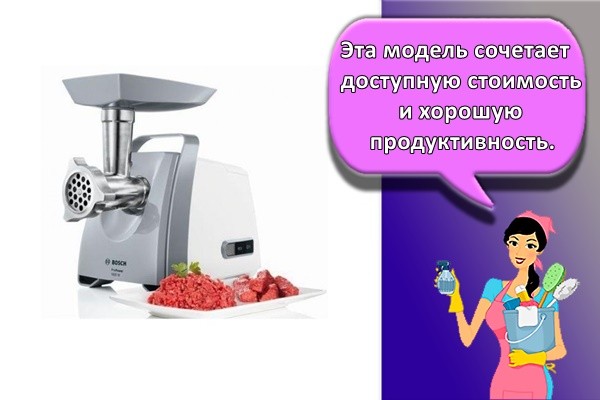 Эта модель сочетает доступную стоимость и хорошую продуктивность.