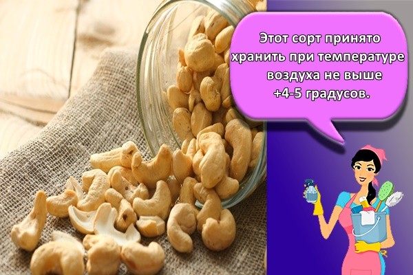 Этот сорт принято хранить при температуре воздуха не выше +4-5 градусов.
