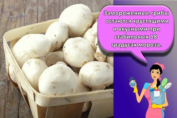 Замороженные грибы остаются хрустящими и вкусными при стабильных 18 градусах мороза.