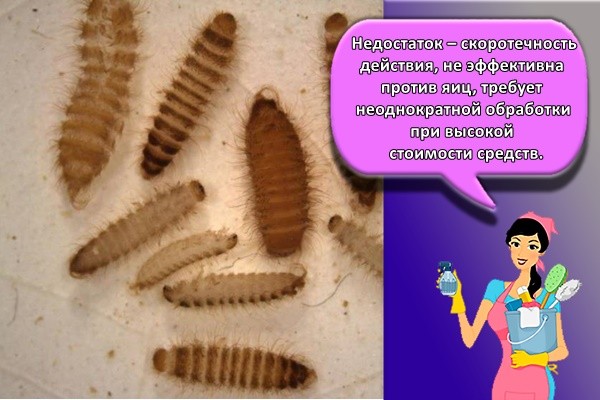 Недостаток – скоротечность действия, не эффективна против яиц, требует неоднократной обработки при высокой стоимости средств.
